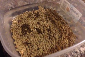 Lenticche con zampone