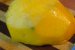 Salata de creveti, rucola si mango-2