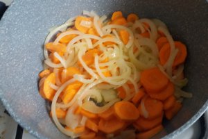 Supa de morcov si papaya