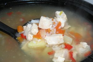 Ciorba de pui cu legume la slow cooker Crock-Pot