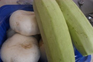 Legume dungate