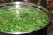 Salata de pui cu caise si pastai verzi-2