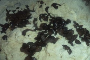 Paine alba cu masline negre si seminte