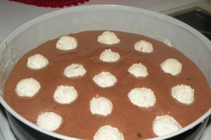 Prajitura cu praf de ciocolata si bilute de branza de vaci