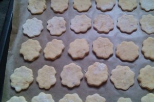 Biscuiti cu ciocolata
