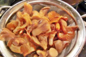 Escalop de porc cu ciuperci de padure