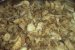 Ciocanele la cuptor pe pat de pleurotus-1