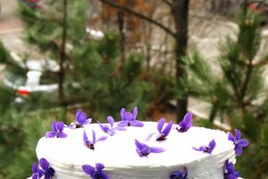 Tort Bunica