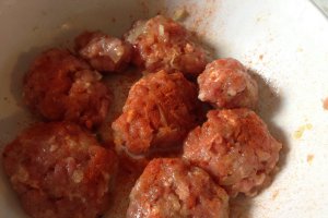 Burgeri de pui
