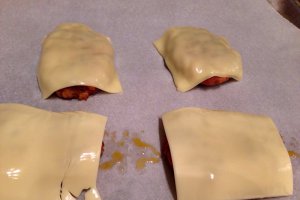 Burgeri de pui