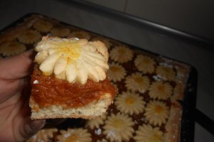 Placinta Primavara