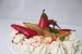 Pavlova cu pere posate in vin rosu-6