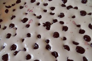 Pandispan cu fructe si crema fina de branza