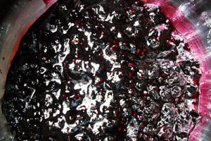 Pandispan cu fructe si crema fina de branza