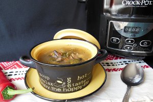 Ciorba cu urzici si ghebe la slow cooker Crock-Pot 4,7 L