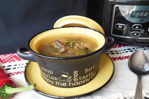 Ciorba cu urzici si ghebe la slow cooker Crock-Pot 4,7 L