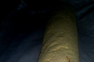 Sarlota regala