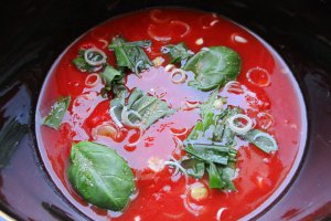Supa de rosii cu taietei patrati la slow cooker Crock-Pot 4,7 L