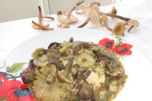 Mancarica de ciuperci asortate