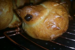 Zhavoronki sau 