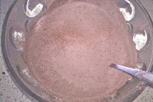 Biscuiti pufosi cu crema de piersici