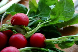 Salata "primavaratica"