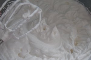 Tort Ecler