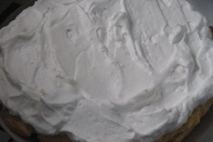 Tort Ecler