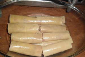 Cannelloni cu sos bechamel