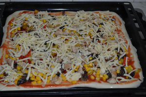 Pizza cu pui si ciuperci
