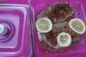 Pulpa de miel la gratar pregatita cu aparatul de marinat FoodSaver