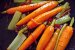 Salata de morcovi si telina cu dressing de portocale-4