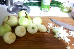 Reteta de tocanita de ceapa cu carne de porc si suc de rosii