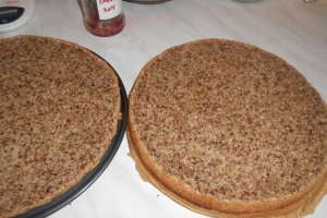 Tort Gabriela