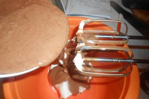 Tort Gabriela