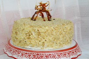 Tortul meu Napoleon