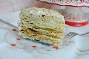 Tortul meu Napoleon