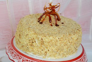 Tortul meu Napoleon