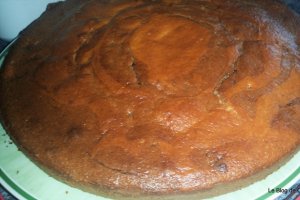 Prajitura bicolora in forma de peste