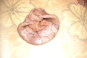 Biscuiti cu esenta de migdale si ciocolata