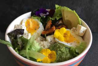 Salata cu Quinoa, dovleac copt si pesto de rucola