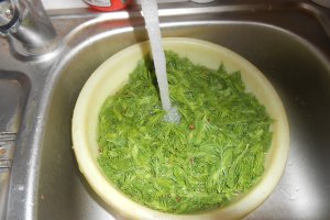 Sirop din muguri de brad