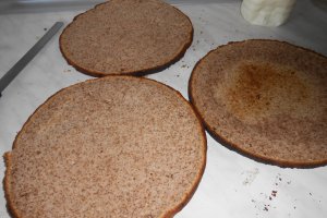 Tort Paste 2016