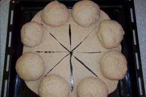 Paine integrala de casa