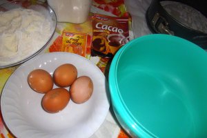 Tort Vis de ciocolata