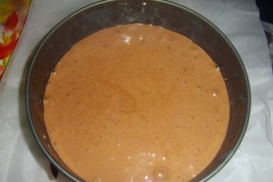 Tort Vis de ciocolata