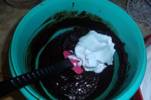 Tort Vis de ciocolata