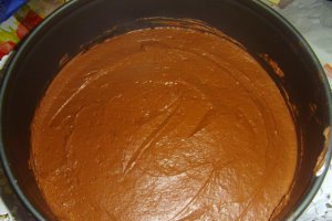 Tort Vis de ciocolata