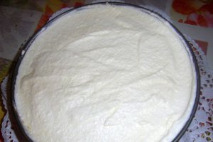 Tort Vis de ciocolata