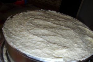 Tort Vis de ciocolata